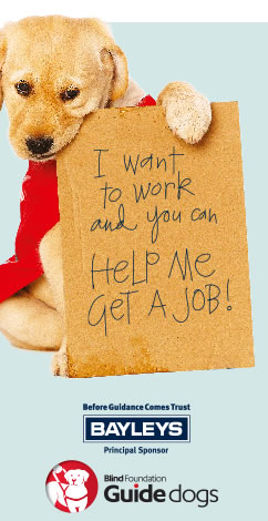 Blind Foundation Guide Dogs