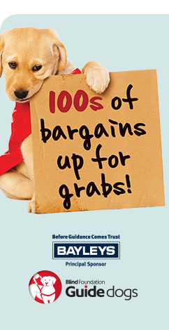 Blind Foundation Guide Dogs