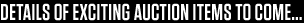 Details of exciting auction items to come...