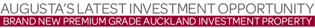 Brand new premium grade Auckland investment property